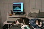 Kardiologie